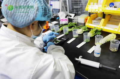 餐桌上的智慧化服务 永辉彩食鲜如何通过农产品数字化供应链与检测服务重塑食品安全