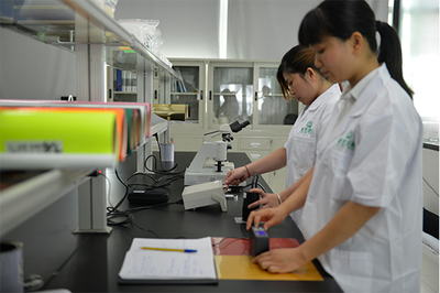 热转印烫画厂检测服务 品质保障的坚实后盾