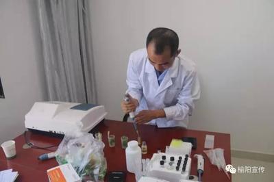 榆阳开展暑期餐饮服务专项检测，筑牢食品安全防线